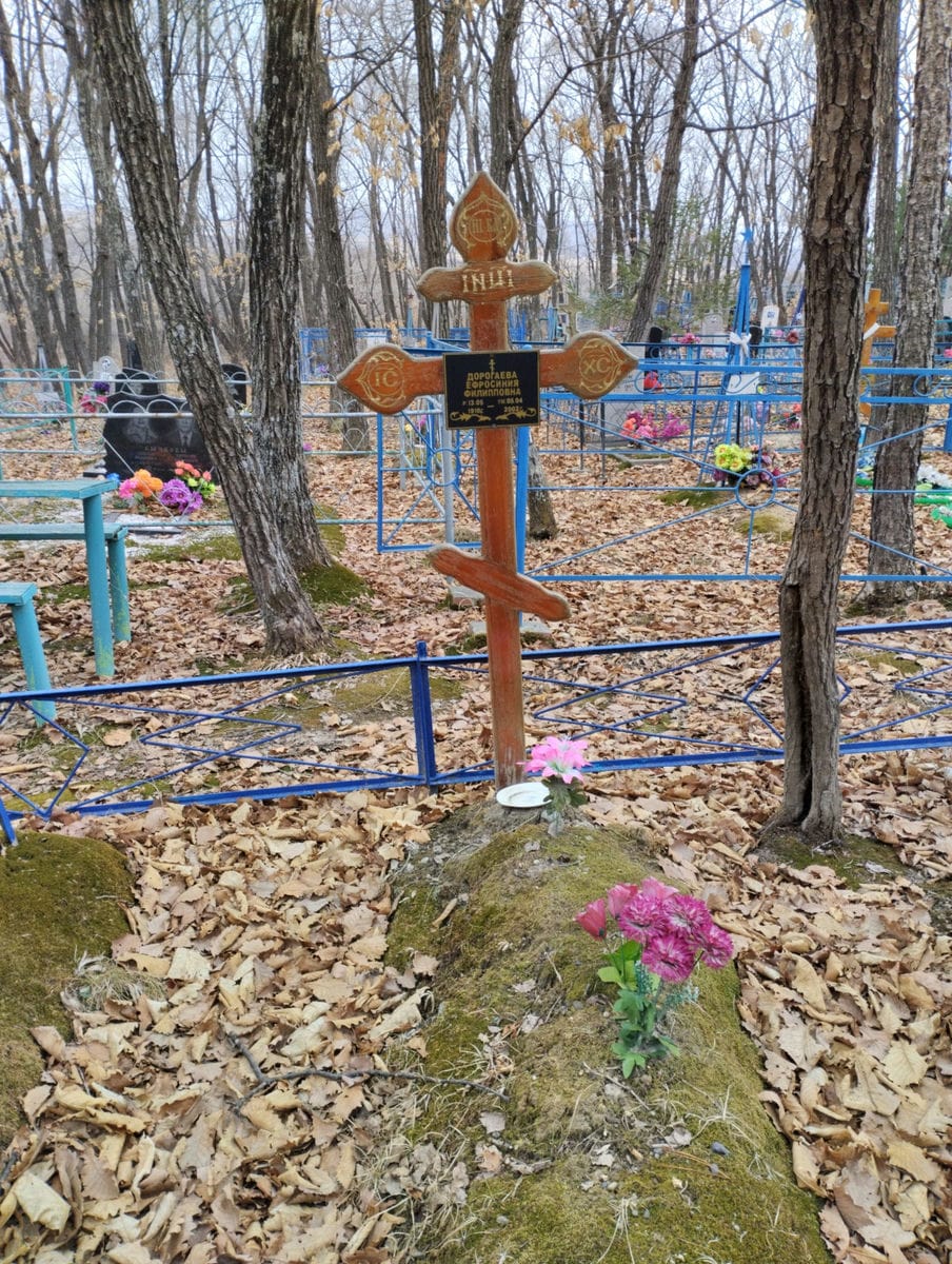 Дорогаева Ефросиния Филипповна