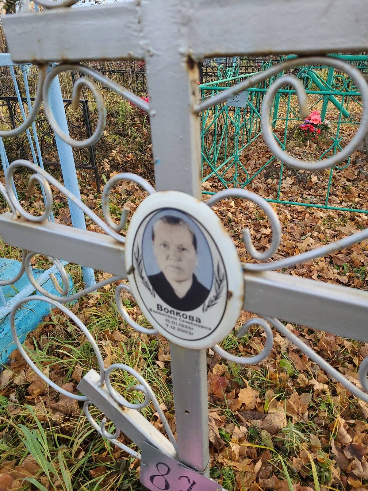 Волкова Валентина Семеновна
