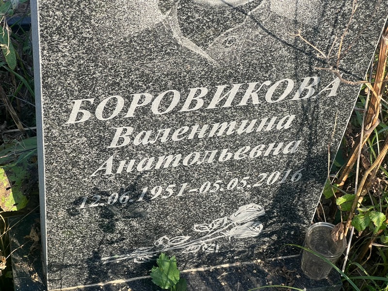 Боровикова