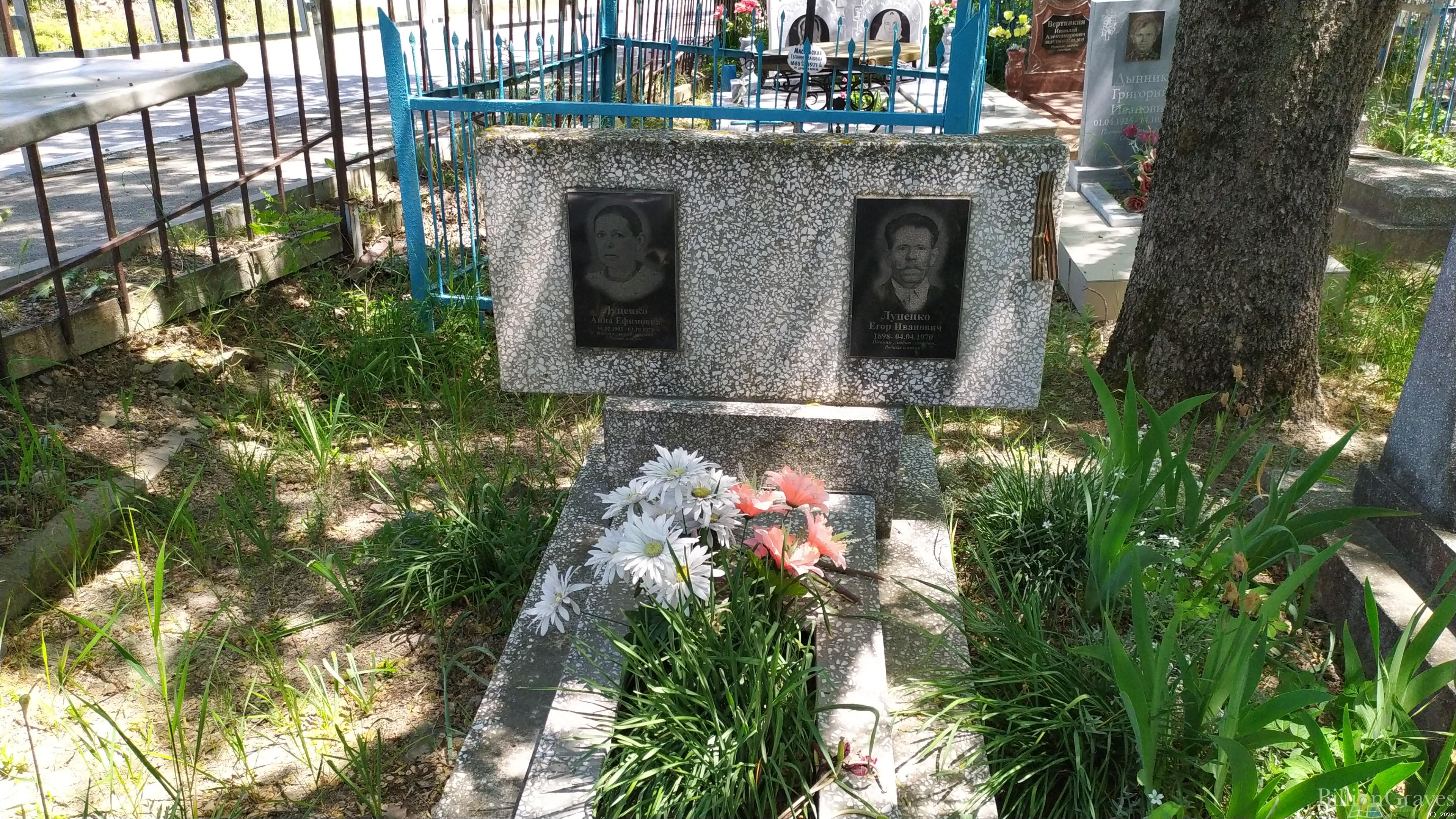 Луценко Анна Ефимовна