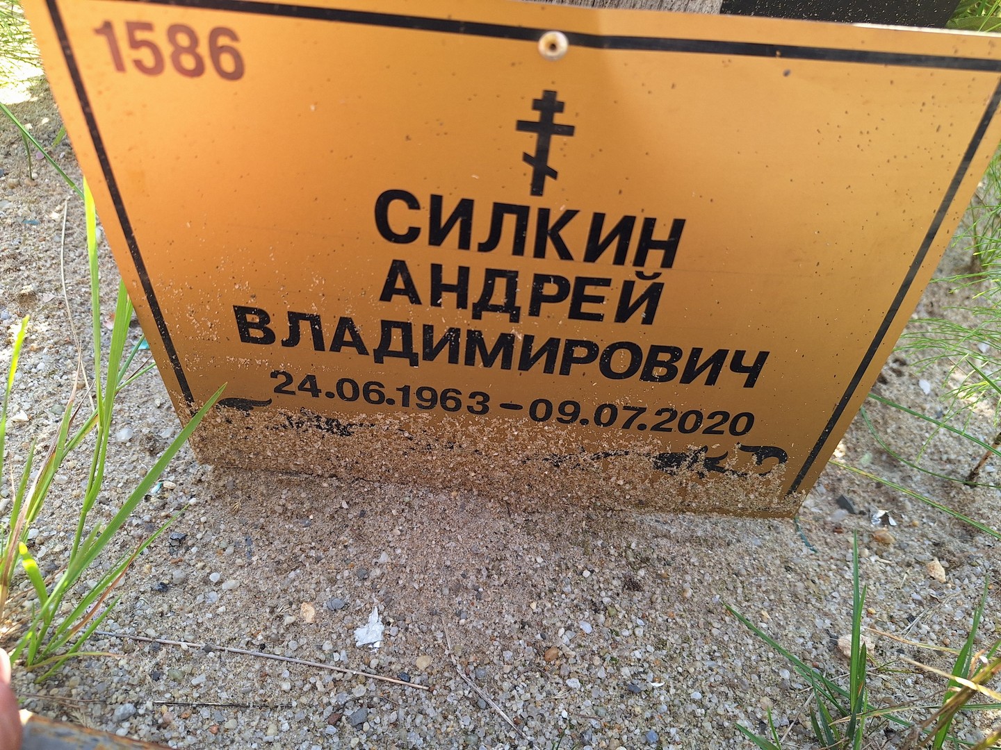 Силкин