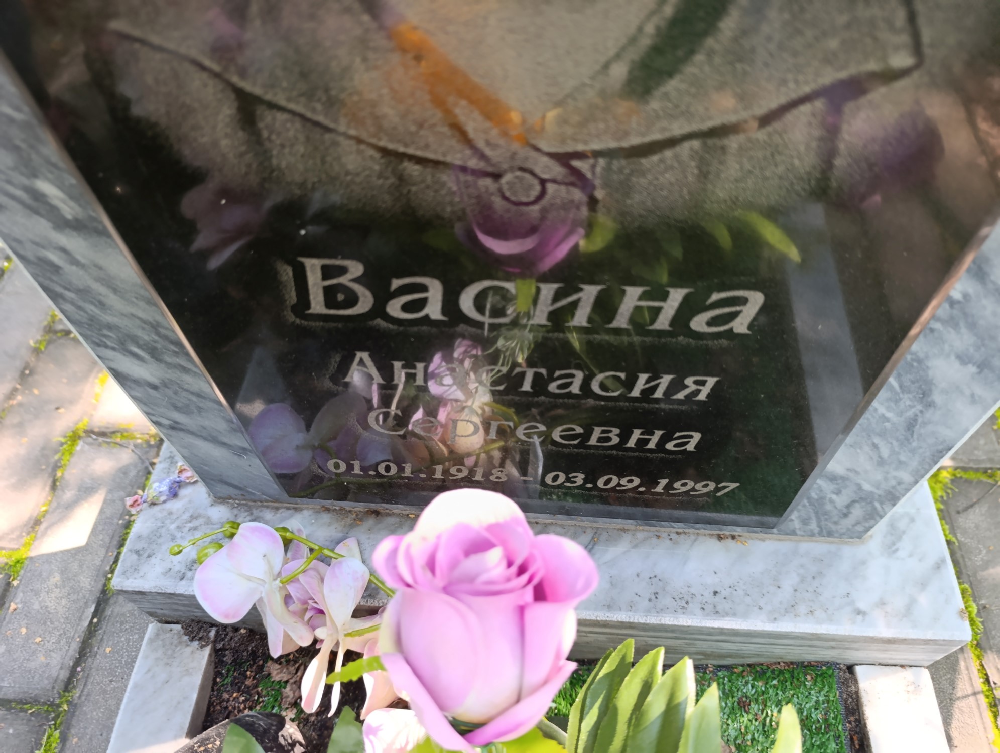 Васина Анастасия Сергеевна