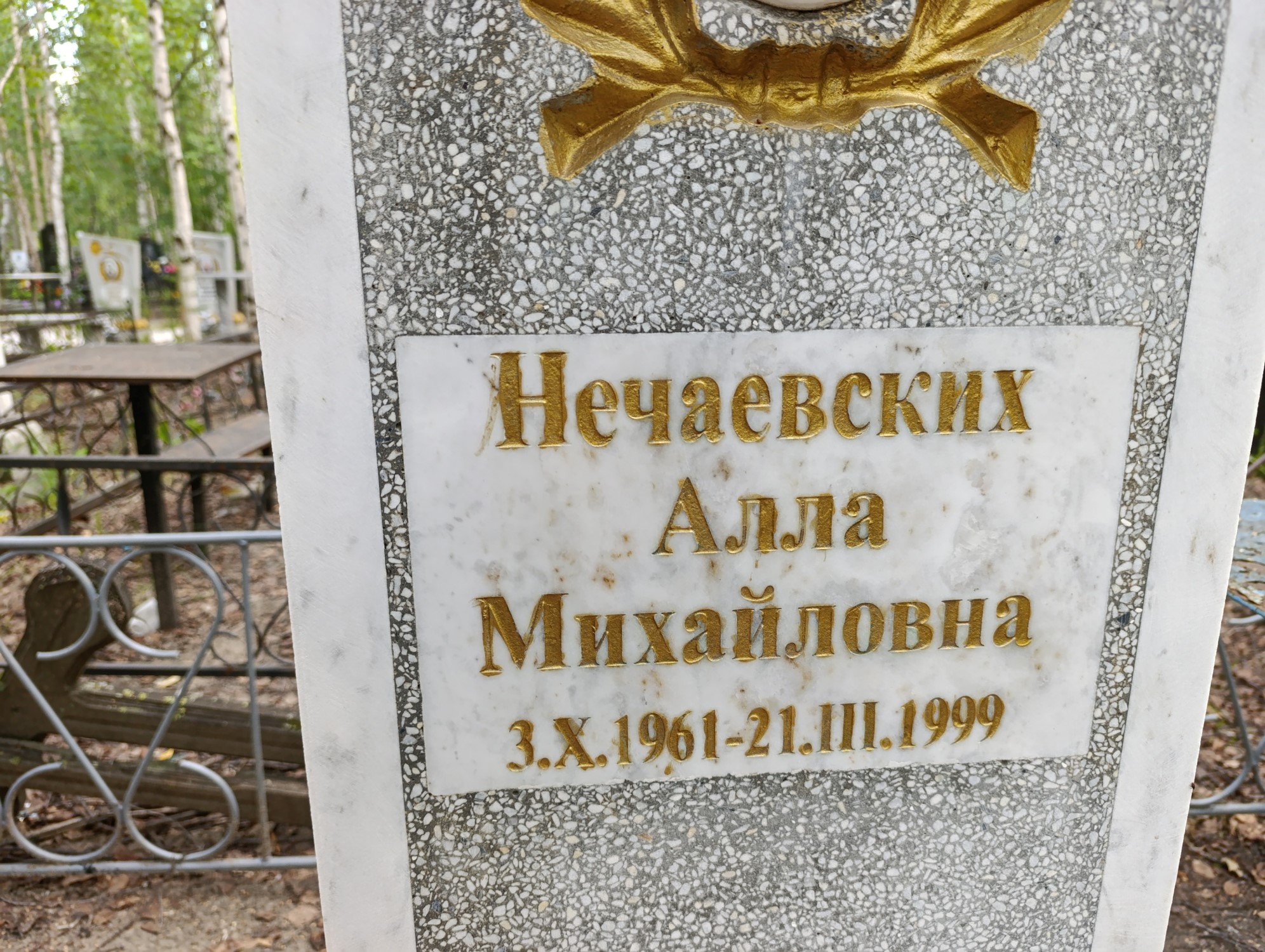 Нечаевских Алла Михайловна
