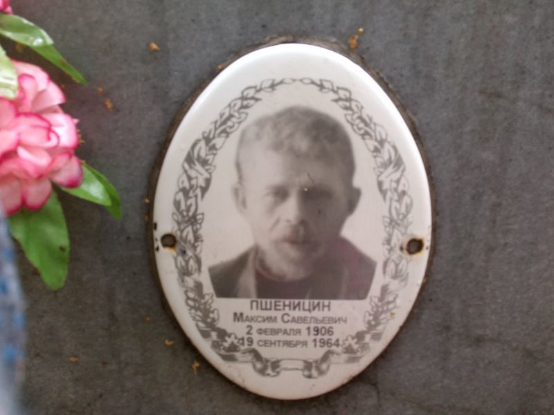 Пшеницин