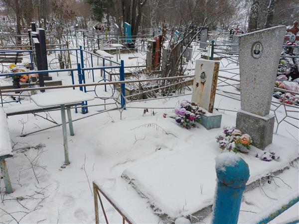 Ступенко Галина Александровна