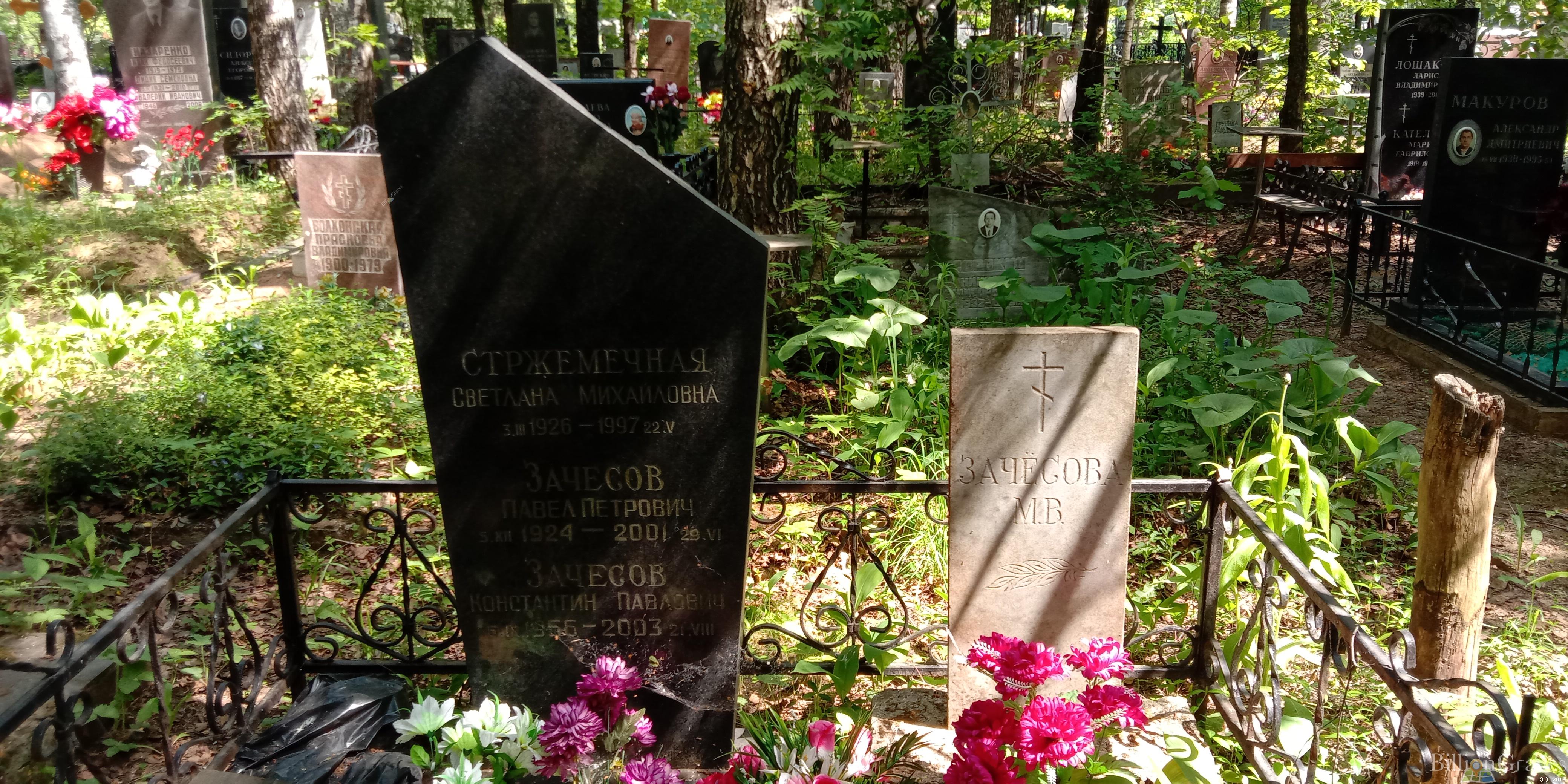 Стржемечная Светлана Михайловна