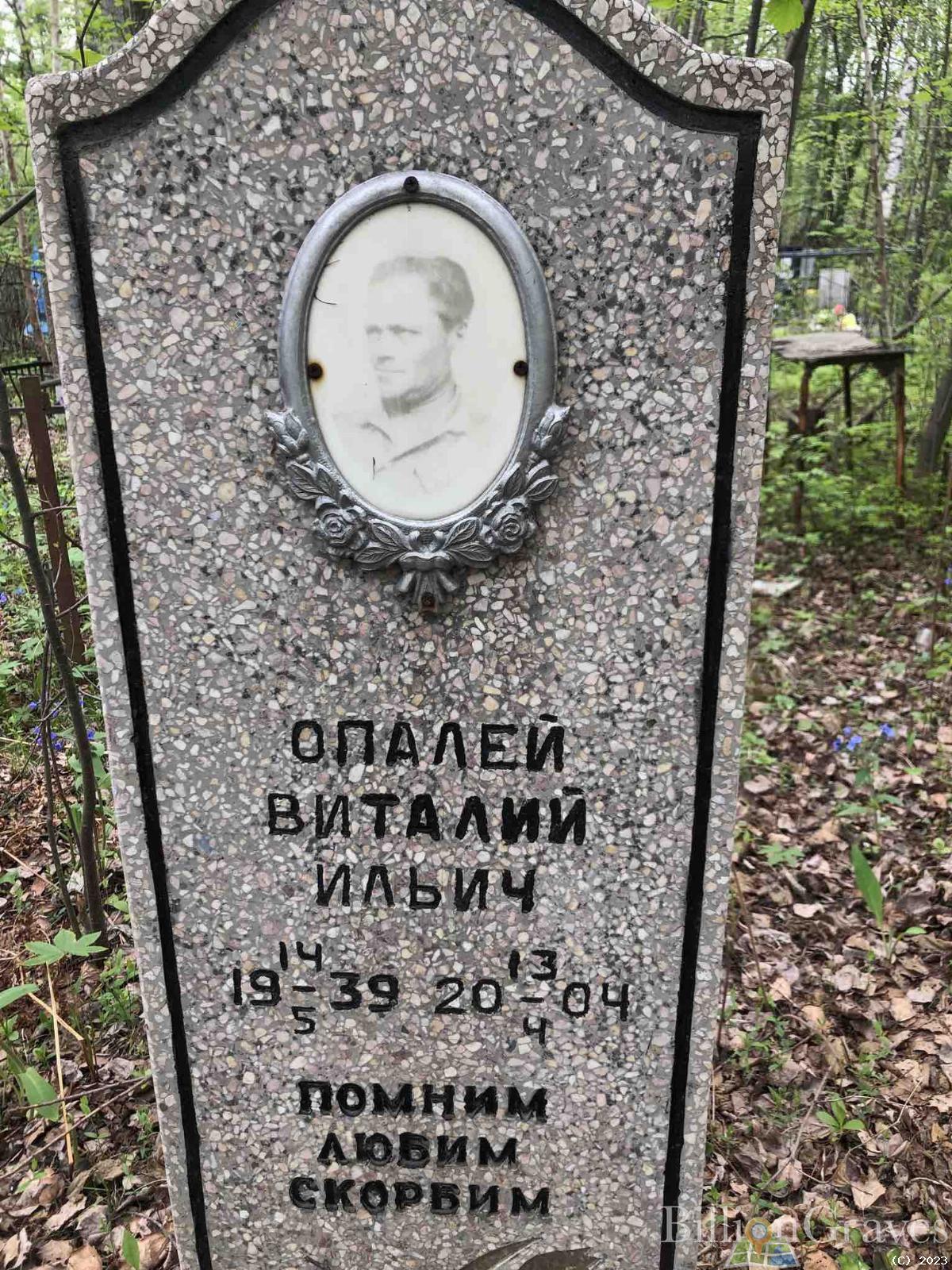 Опалей Виталий Ильич