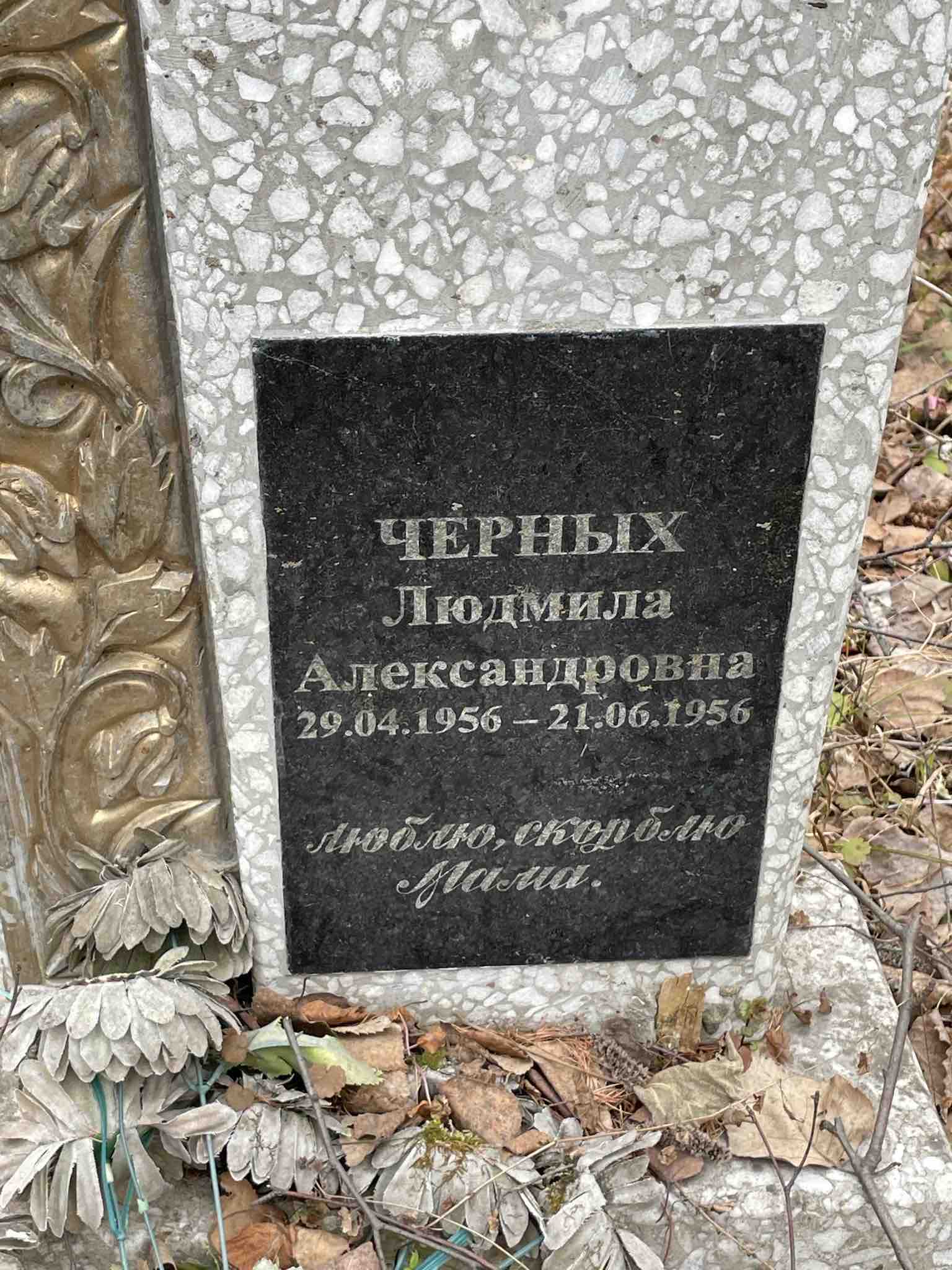 Черных Людмила Александровна