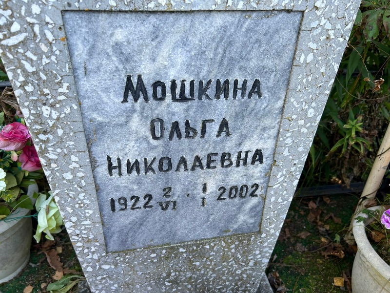 Мошкина
