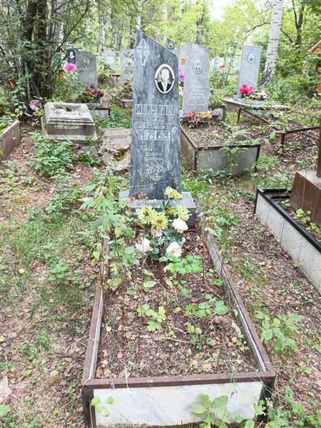 Мануилов Юрий Александрович