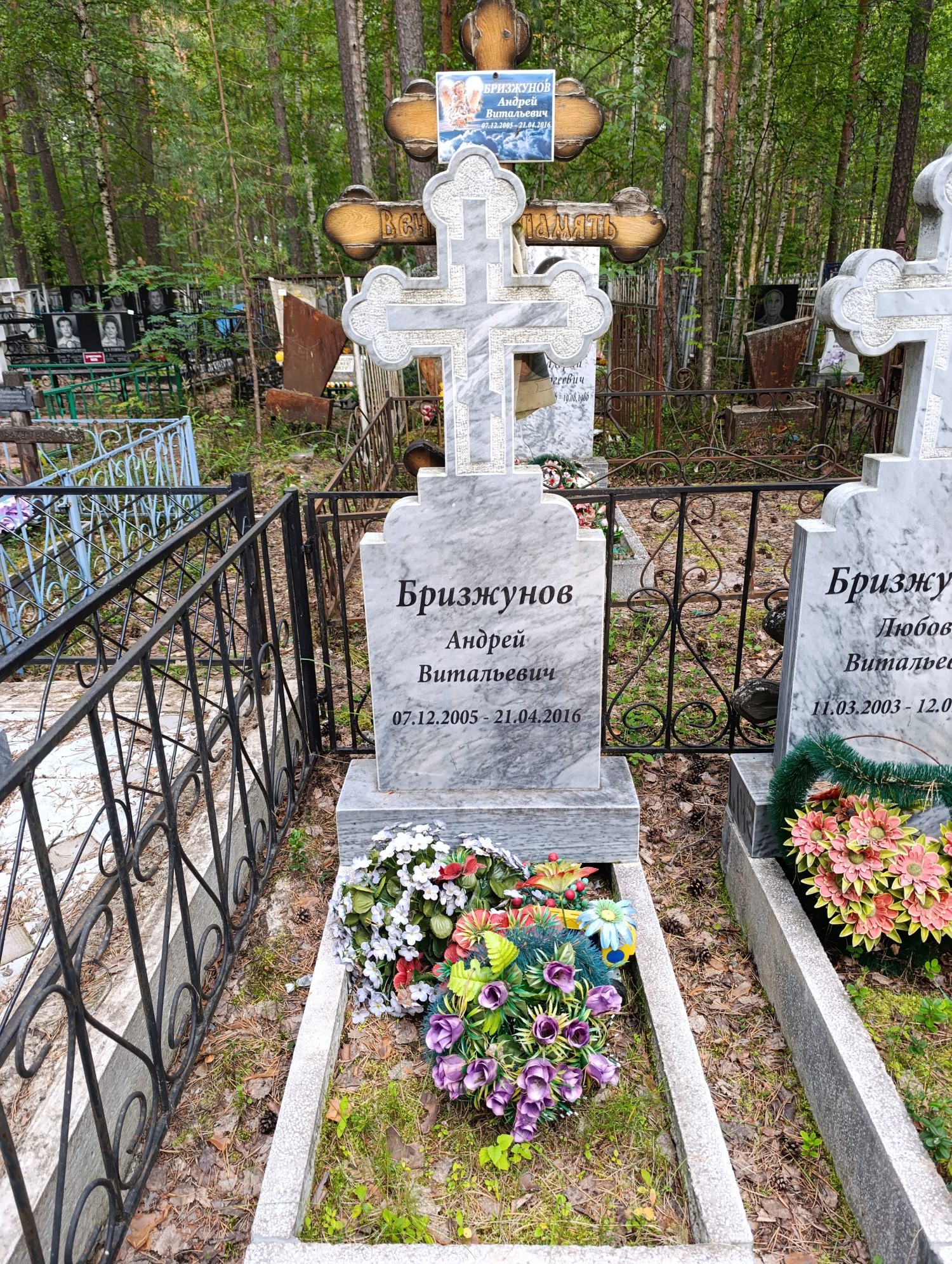Бризжунов Андрей Витальевич