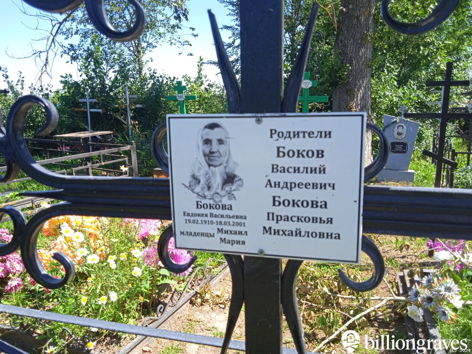 Бокова Евдокея Васильевна