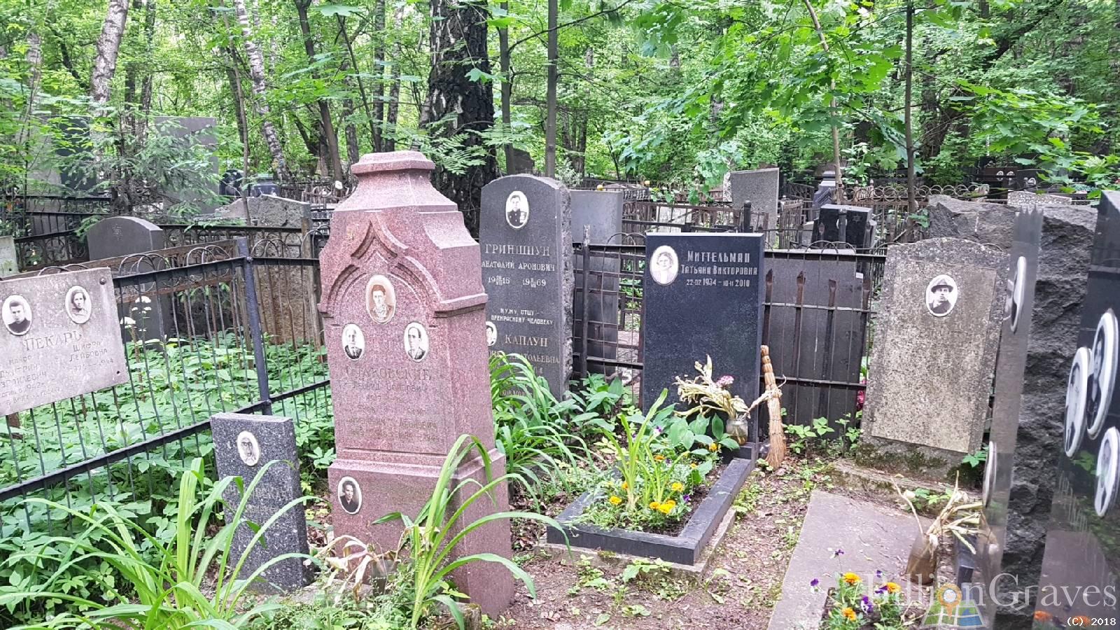 Гриншпун Анатолий Аронович