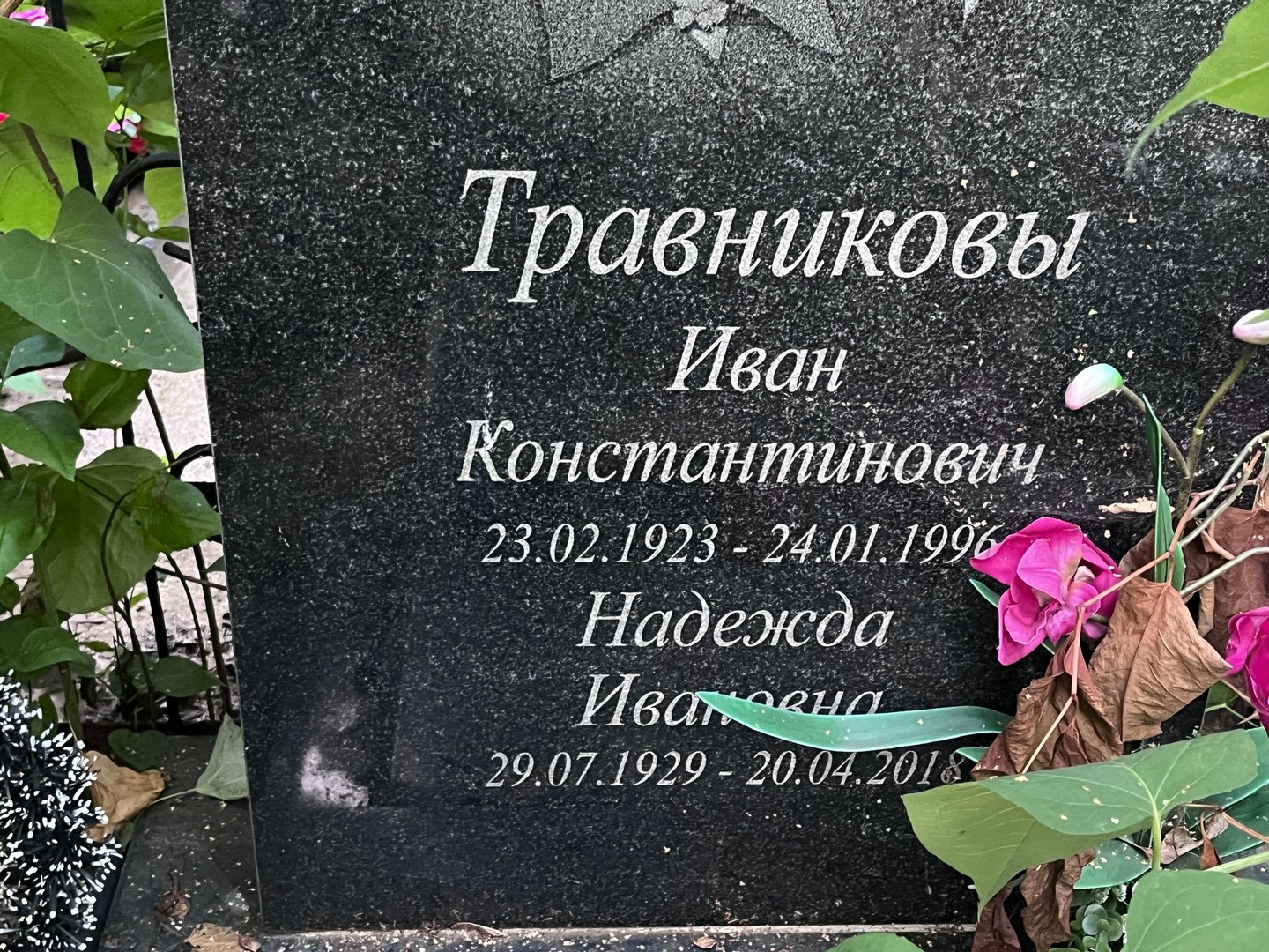 Травникова