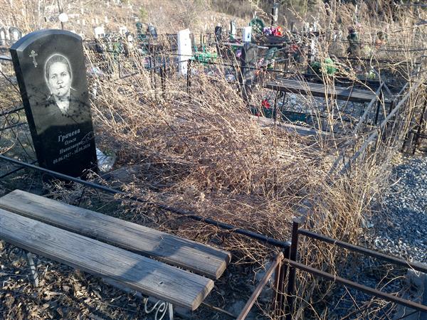 Грачева Ольга Николаевна