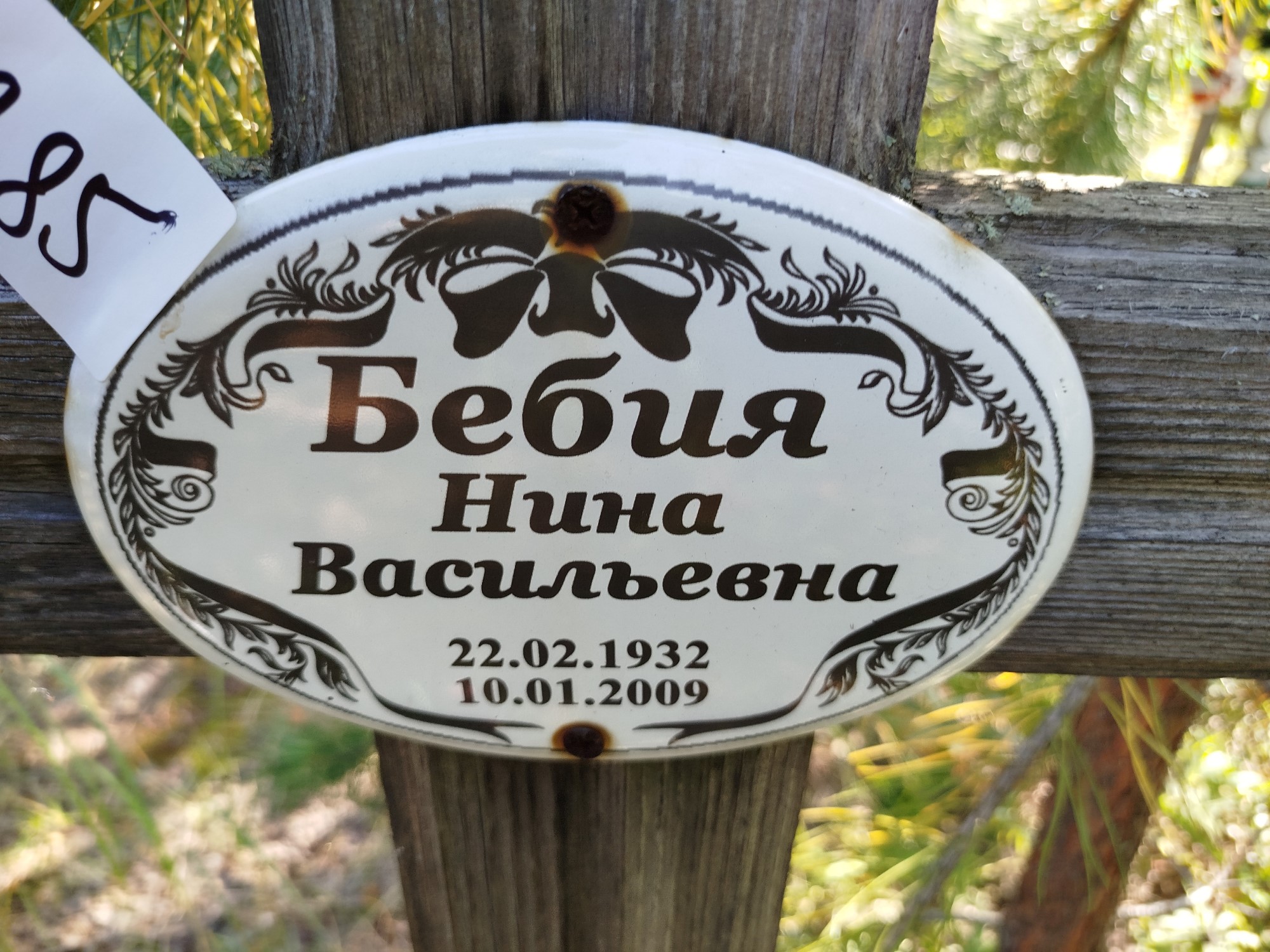 Бебия Нина Васильевна