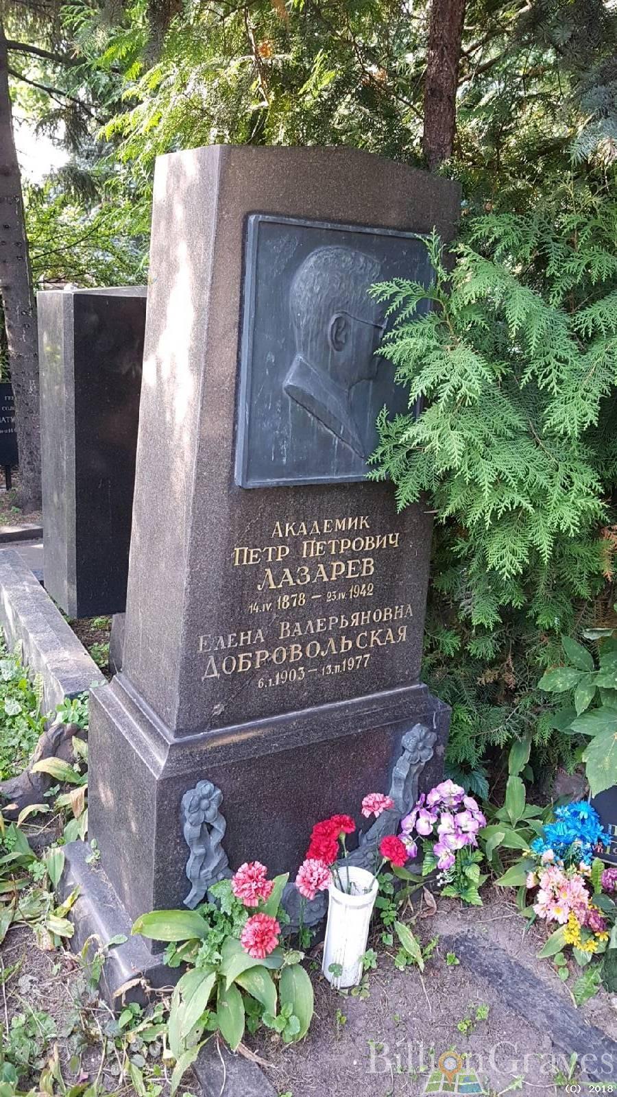 Добровольская Елена Валерьяновна