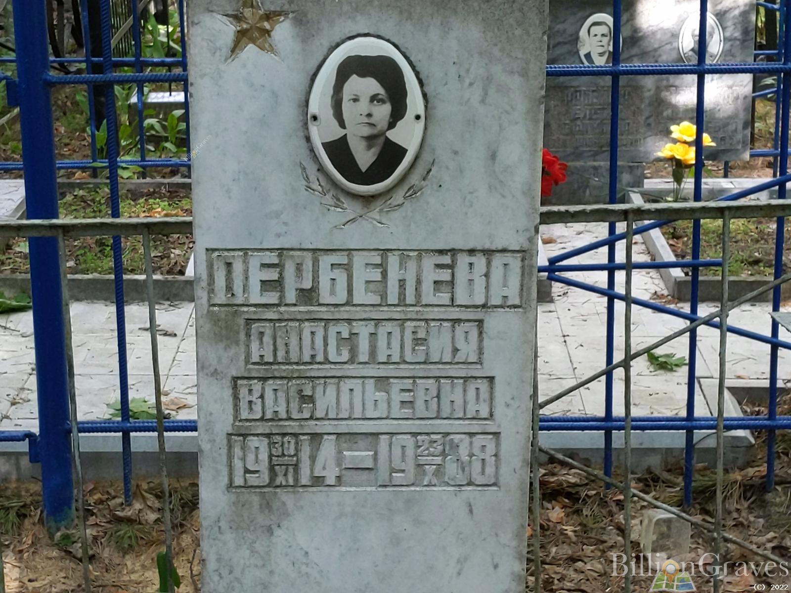 Дербенева Анастасия Васильевна