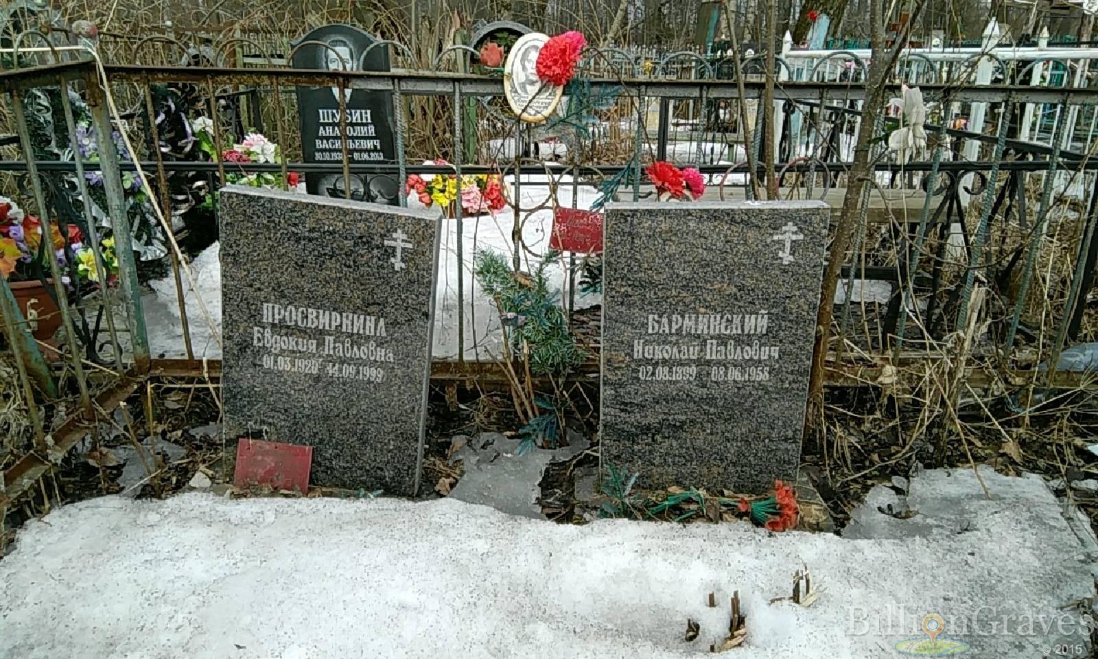 просвирнина евдокия павловна