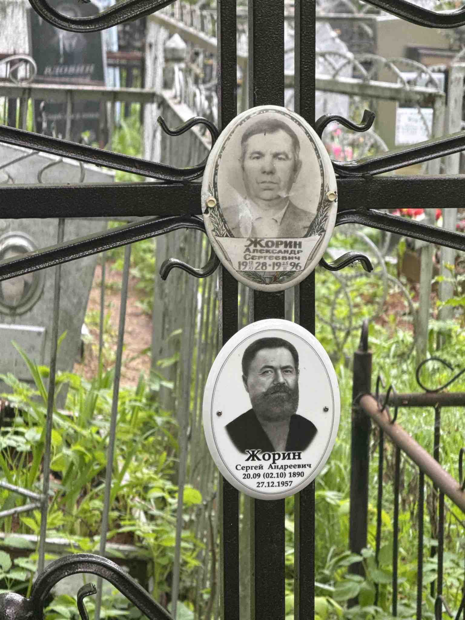 Жорин Александр Сергеевич