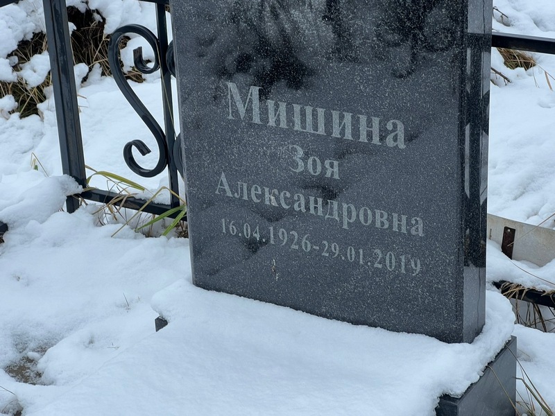 Мишина