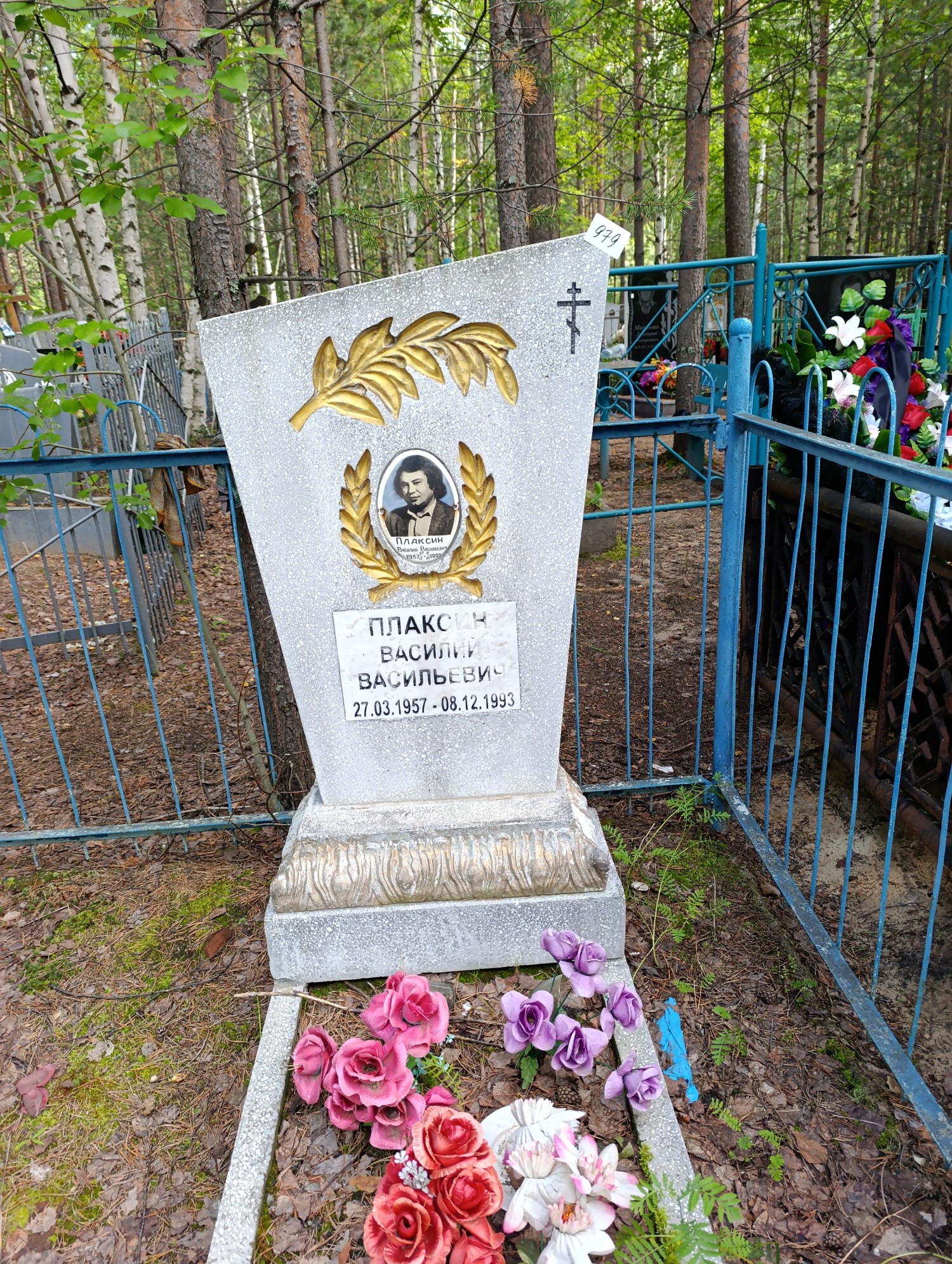 Плаксин Василий Васильевич