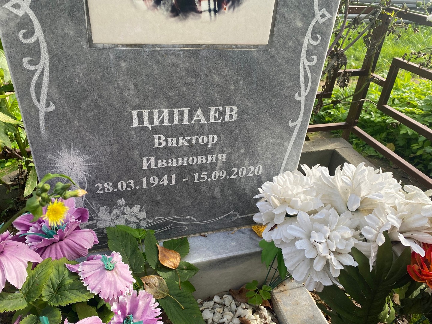 Ципаев