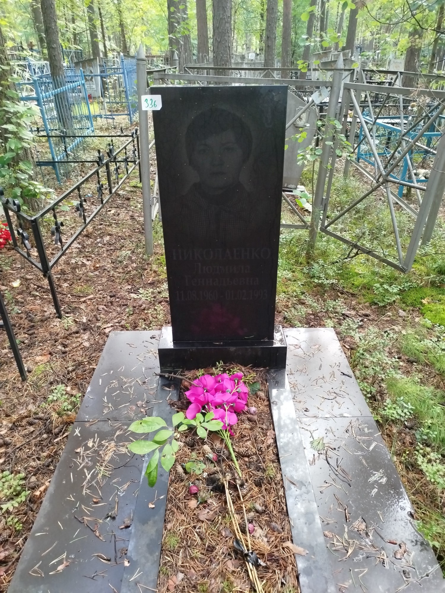 Николаенко Людмила Геннадьевна