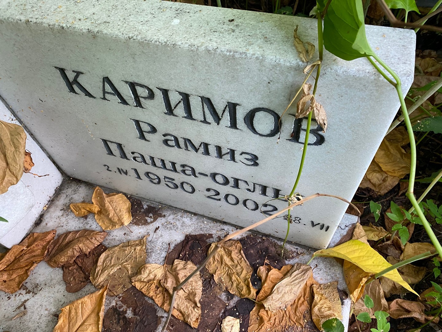 Рамиз Каримов Паша-Оглы
