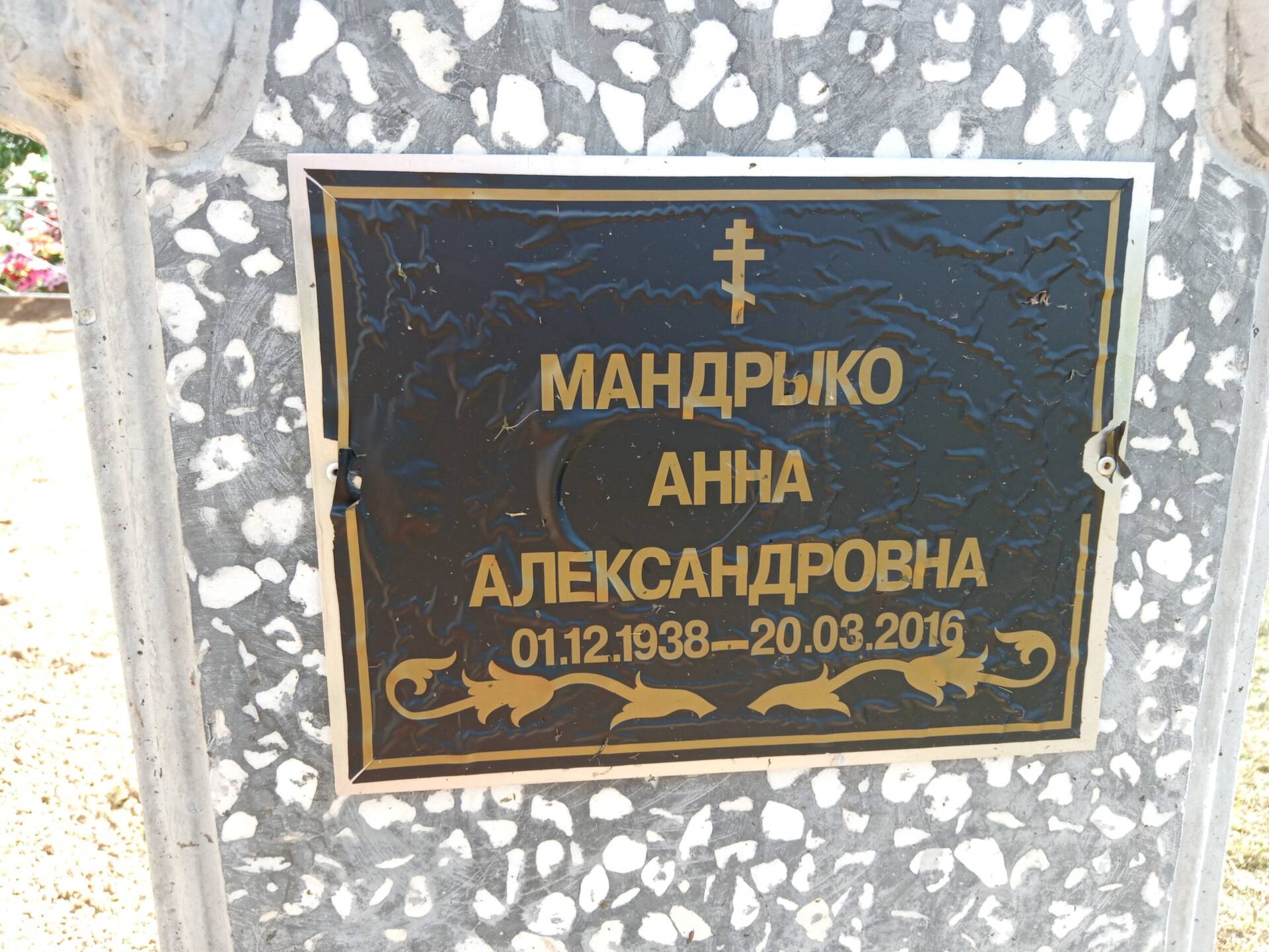Мандрыко Анна Александровна