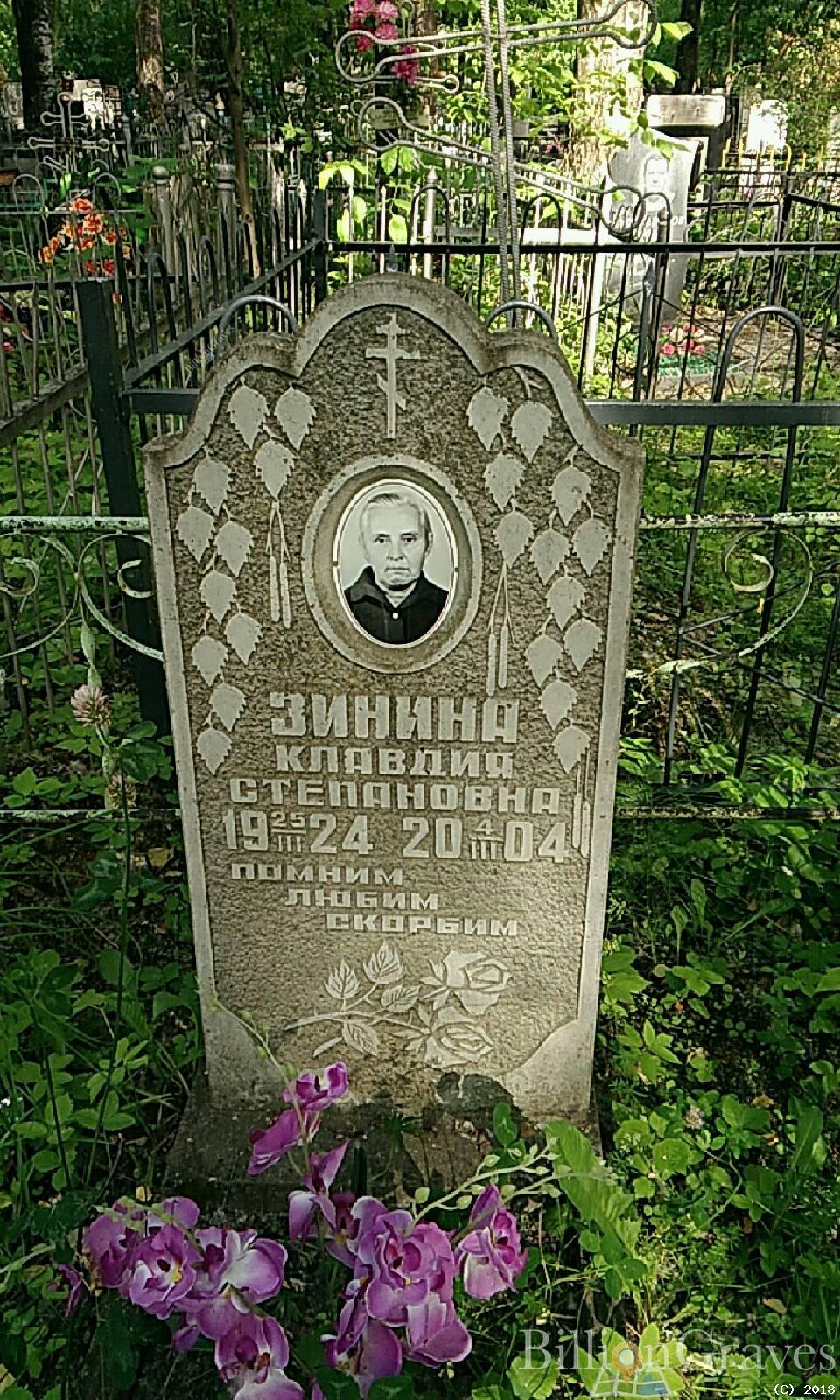 Зинин Владимир Ильич
