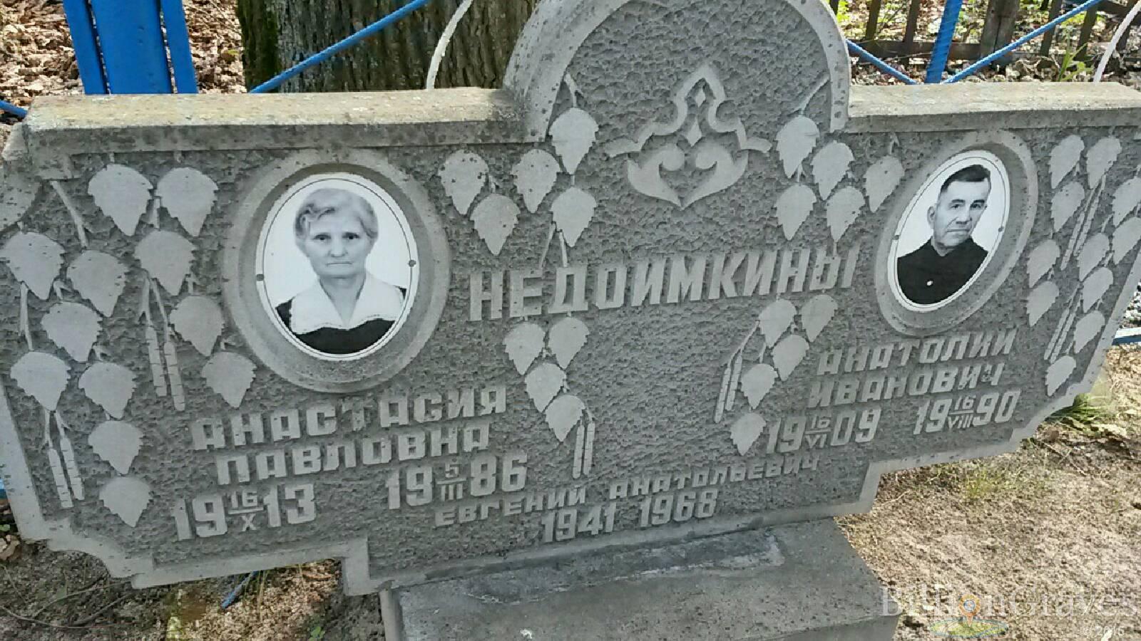 недоимкина анастасия павловна