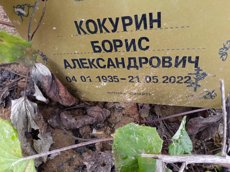 Кокурин