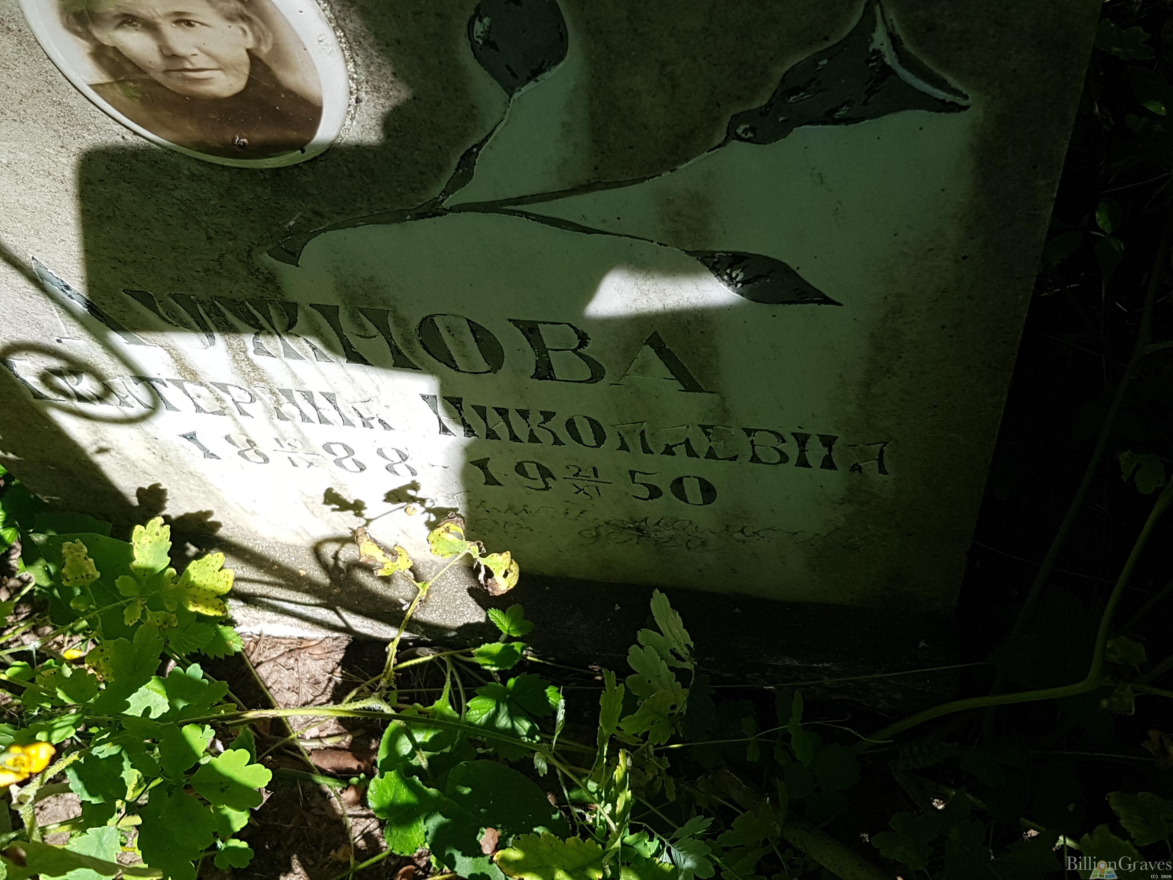 Лужнова Екатерина Николаевна