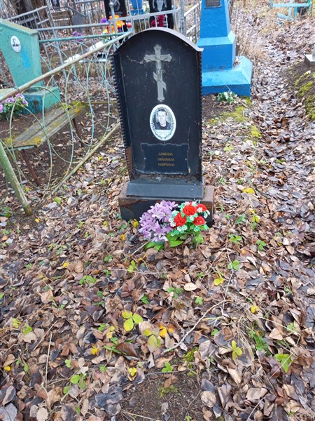 Шипицин Владимир Антонович