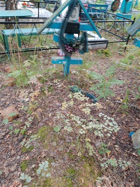 Горохова Анастасия Алексеевна