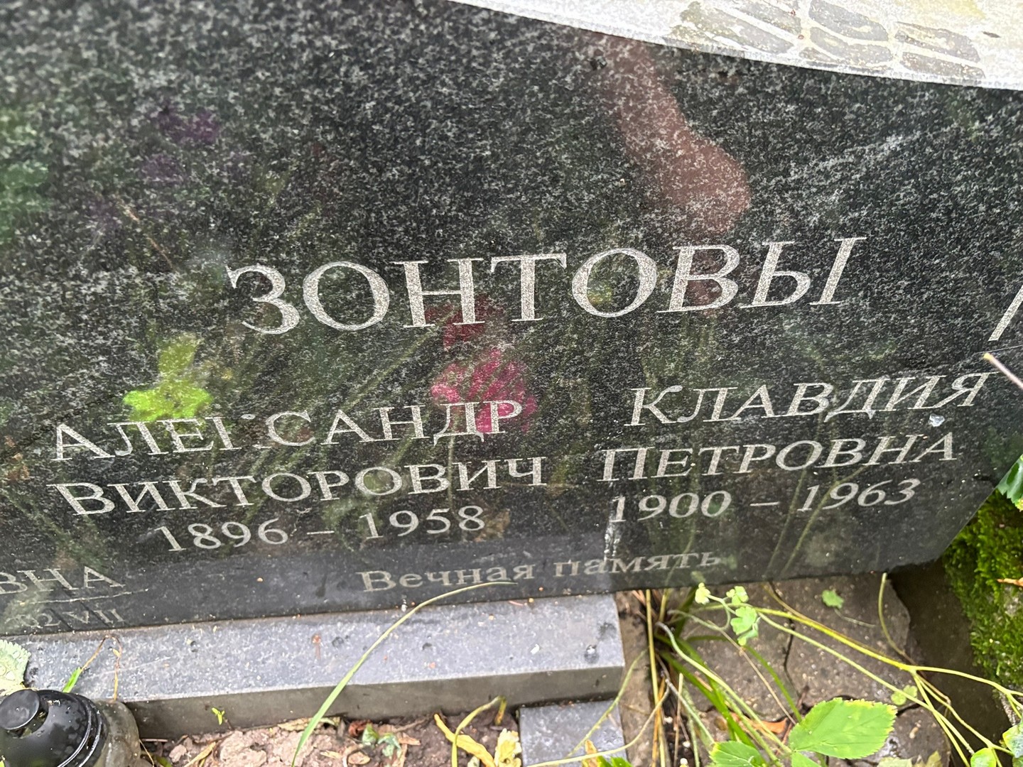 Зонтов