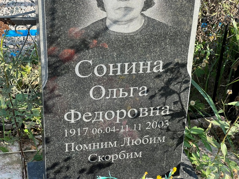 Сонина