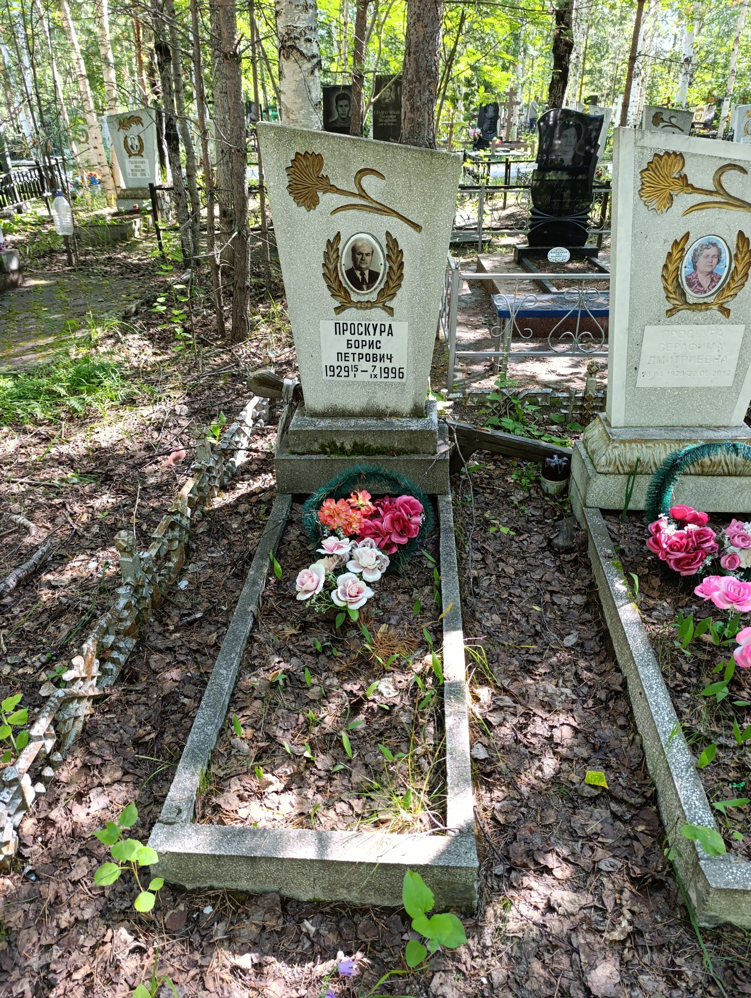 Проскура Борис Петрович