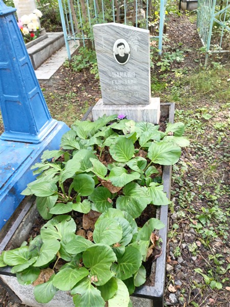 Эликин Геннадий Степанович