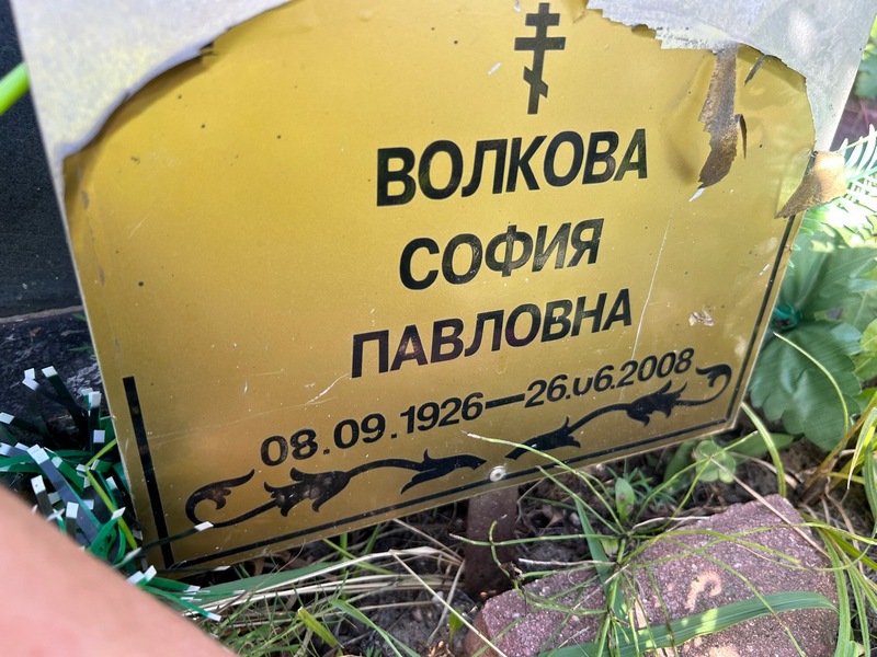 София Волкова Павловна