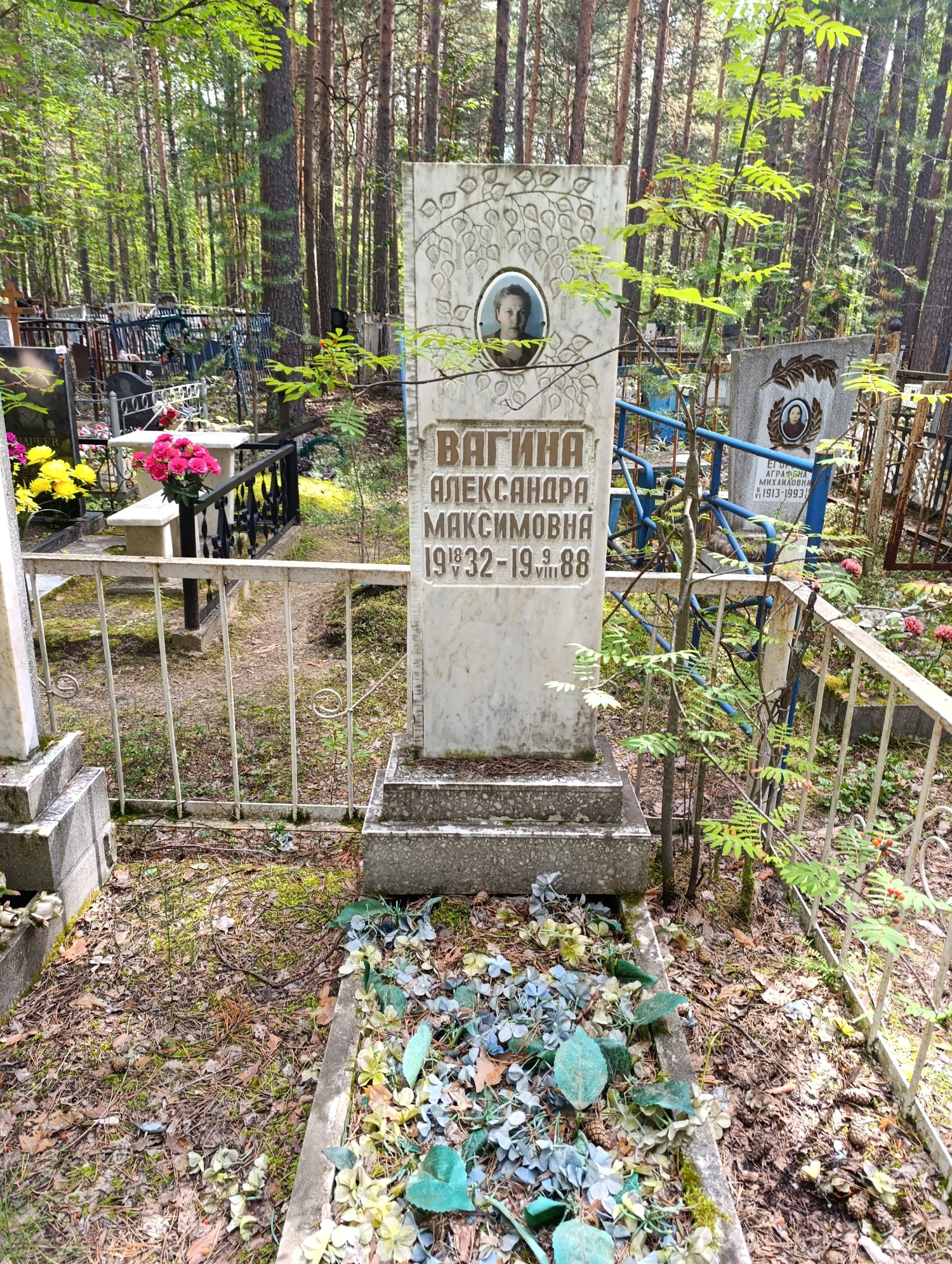 Вагина Александра Максимовна