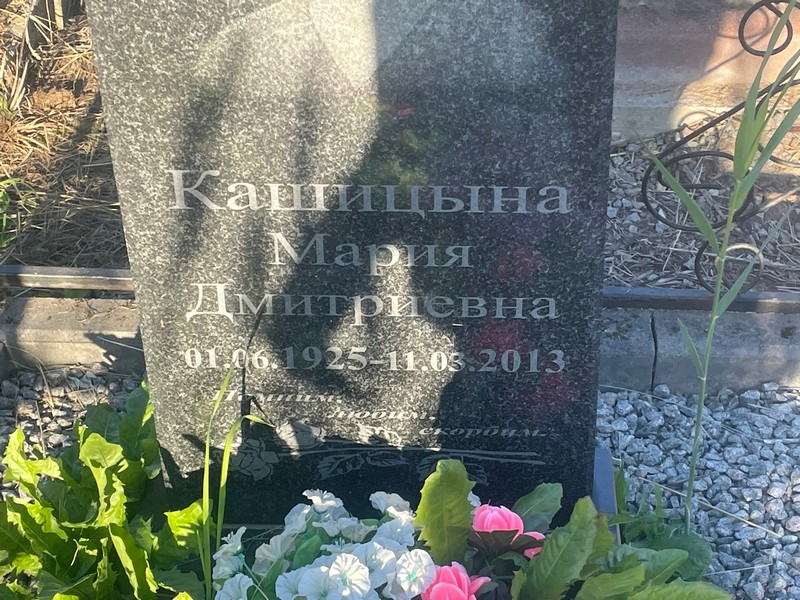Кашицына