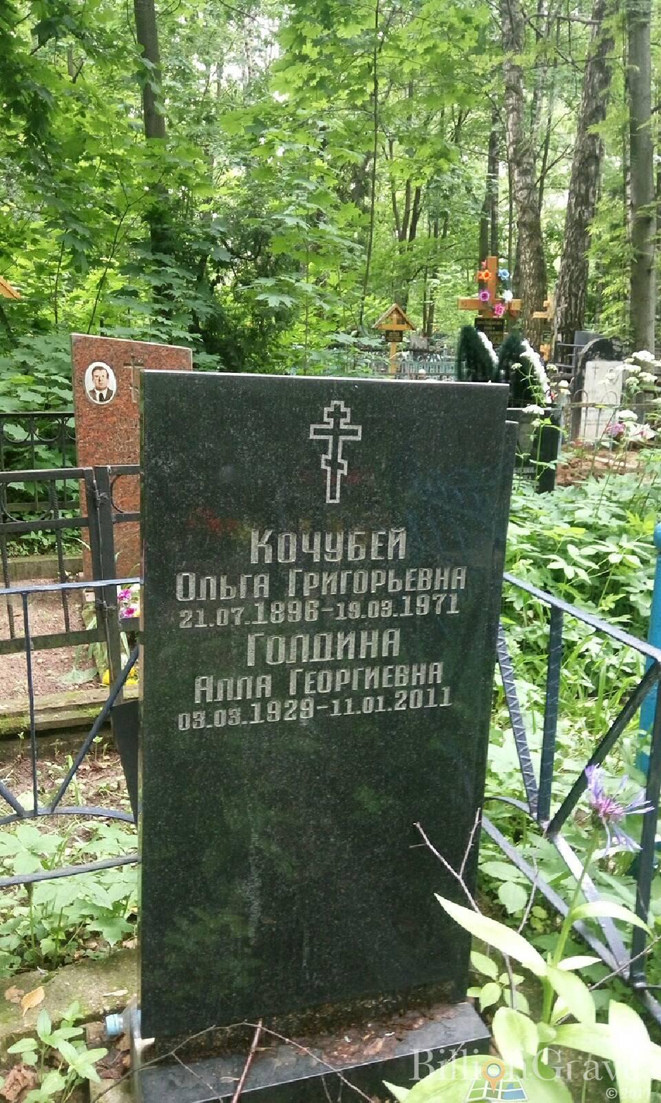 Голдина Алла Георгиевна