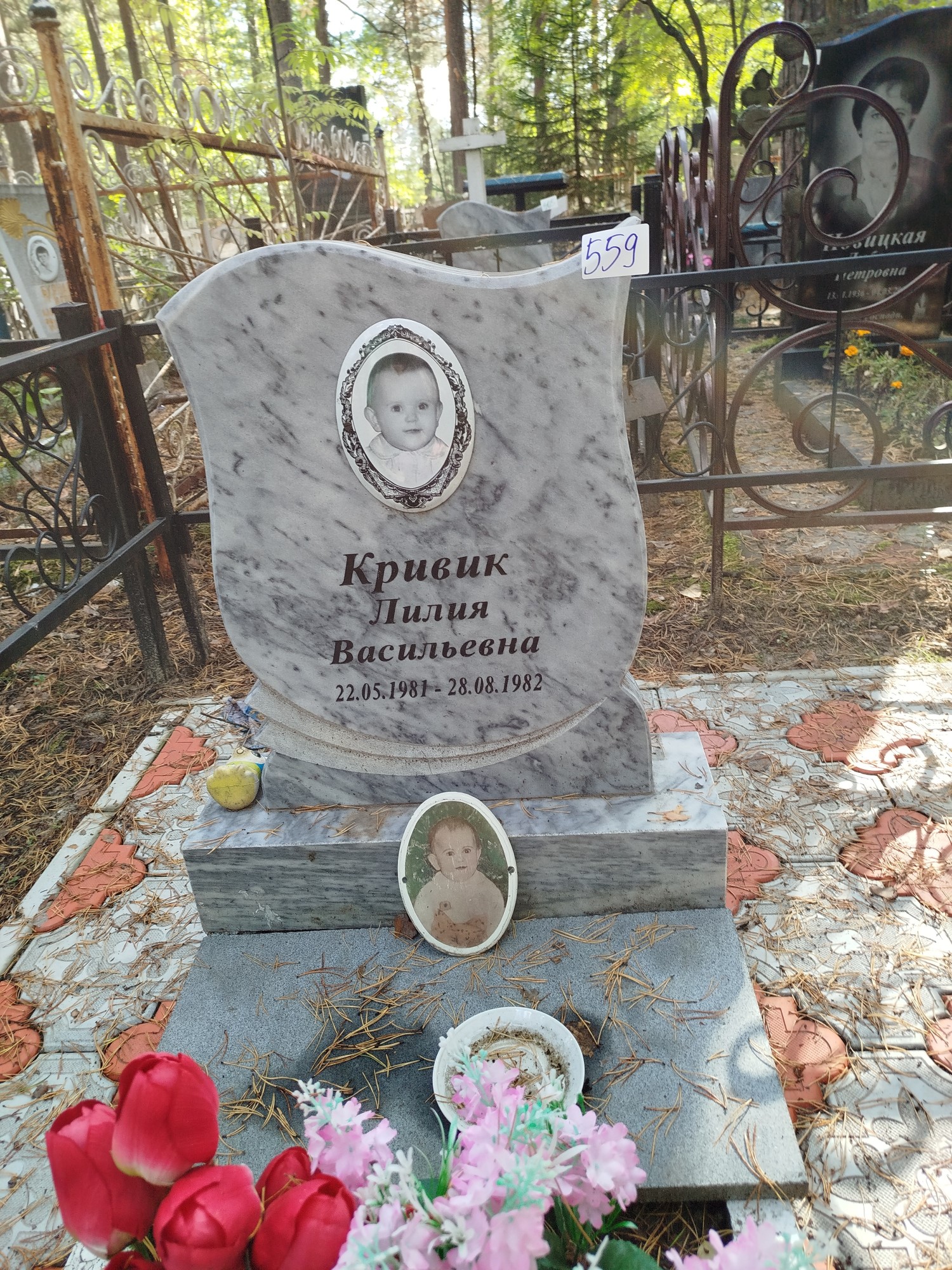 Кривик Лилия Васильевна