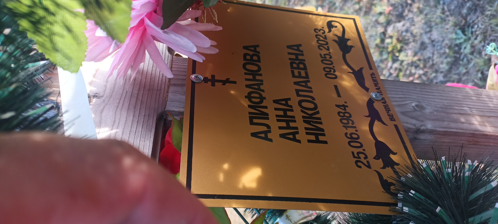 Алифанова Анна Николаевна