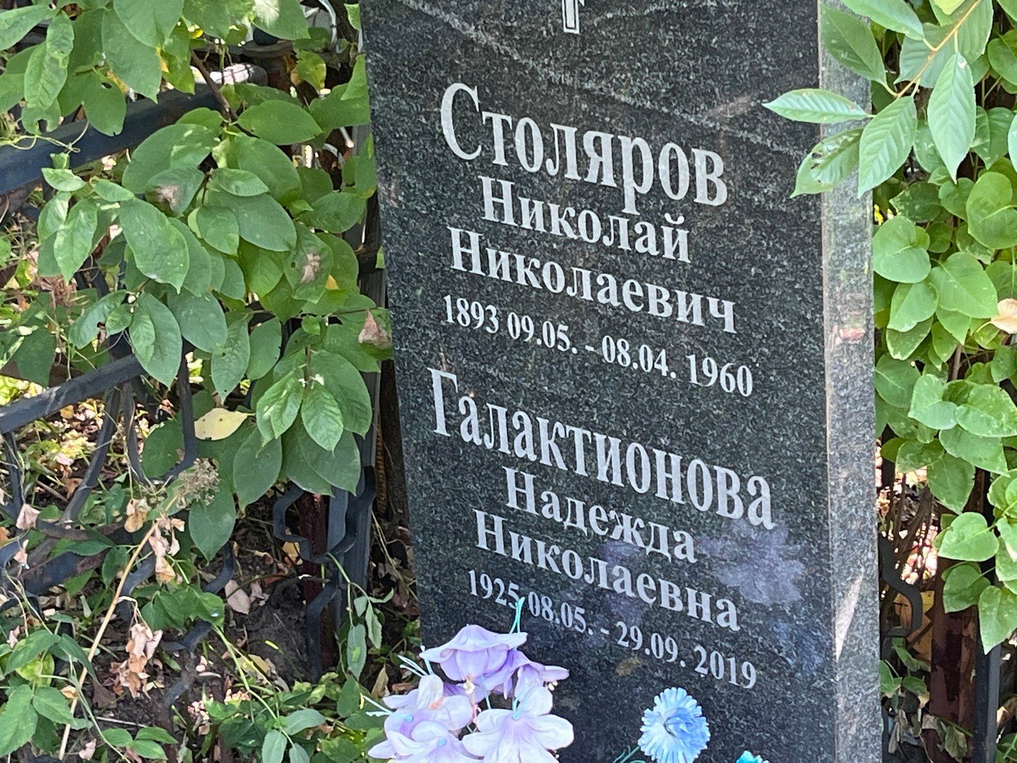 Галактионова