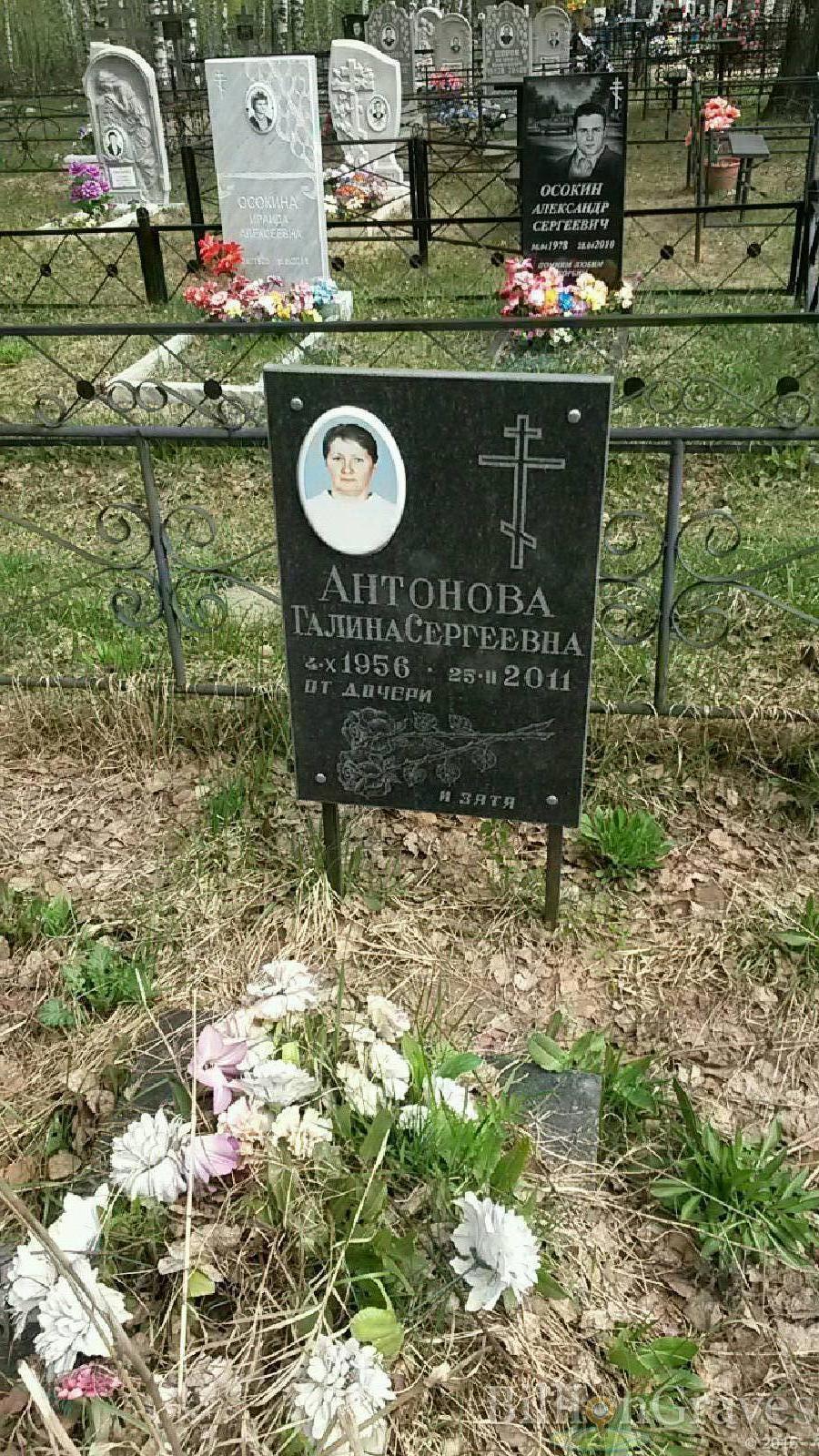 антонова галина сергеевна