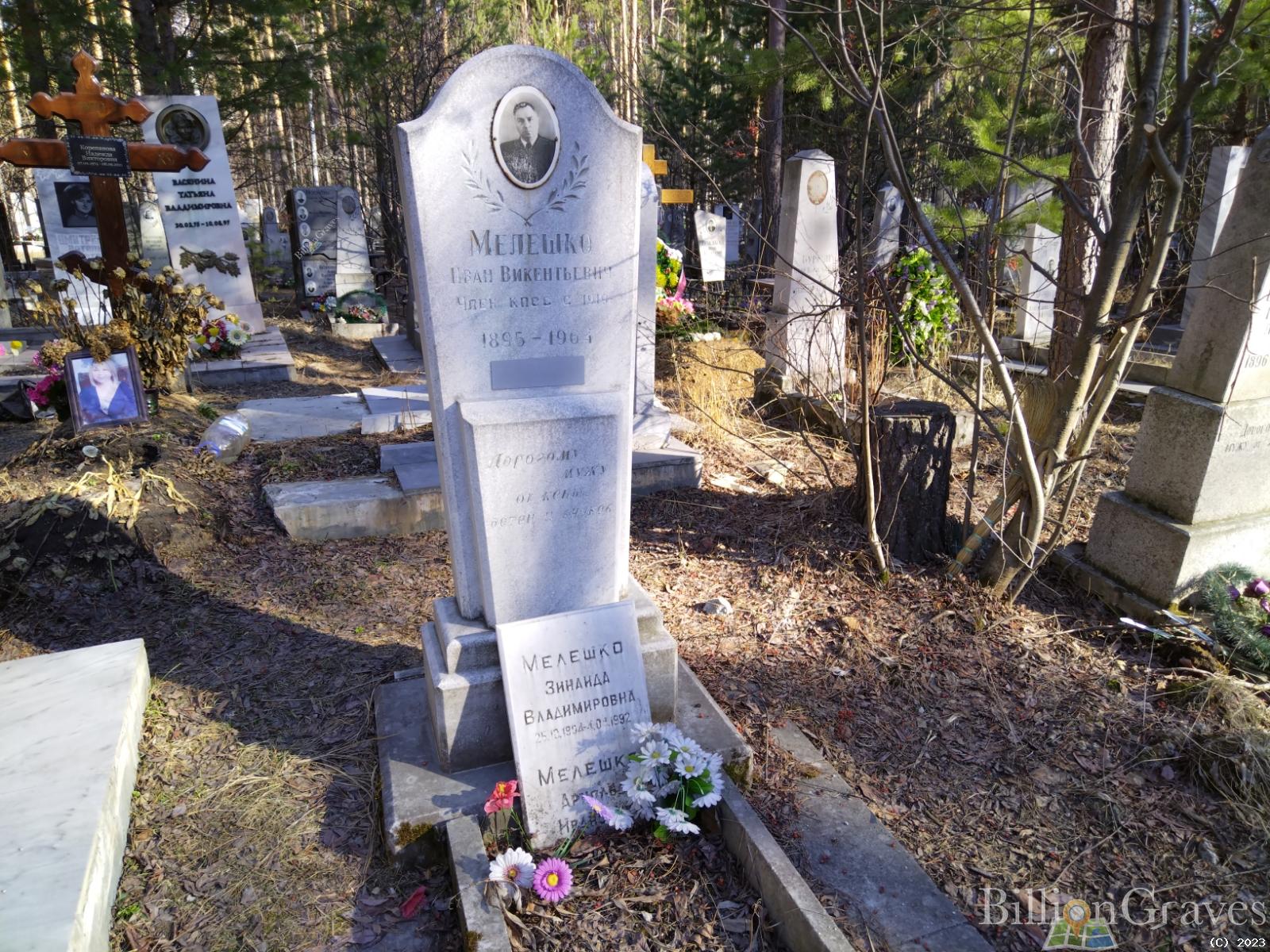 Мелешко Арнольд Иванович
