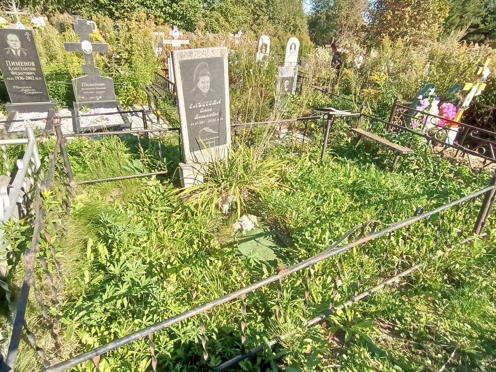 Елисеева Ольга Васильевна